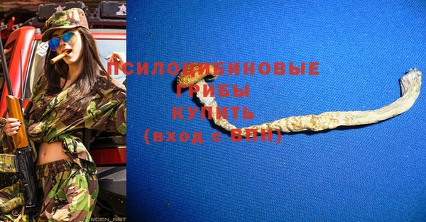 крисы Алексеевка