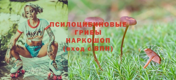 ешки Алексин