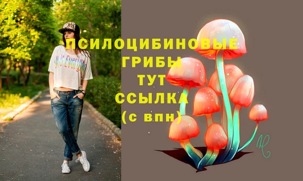 бутират Алзамай