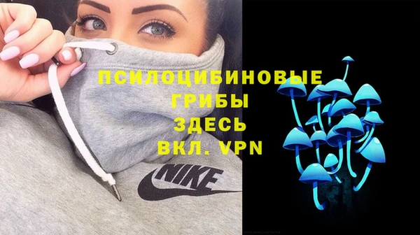 ешки Алексин