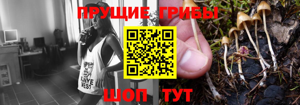 Галлюциногенные грибы GOLDEN TEACHER  Вход с VPN  Лесосибирск  Галлюциногенные грибы прущие грибы 